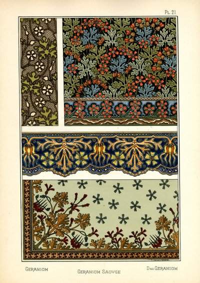 إبرة الراعي بواسطة مارسيل جودين